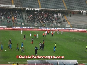 Biancoscudati acclamati sotto la Fattori