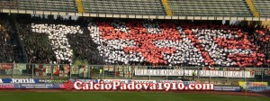 La coreografia della Tribuna Fattori